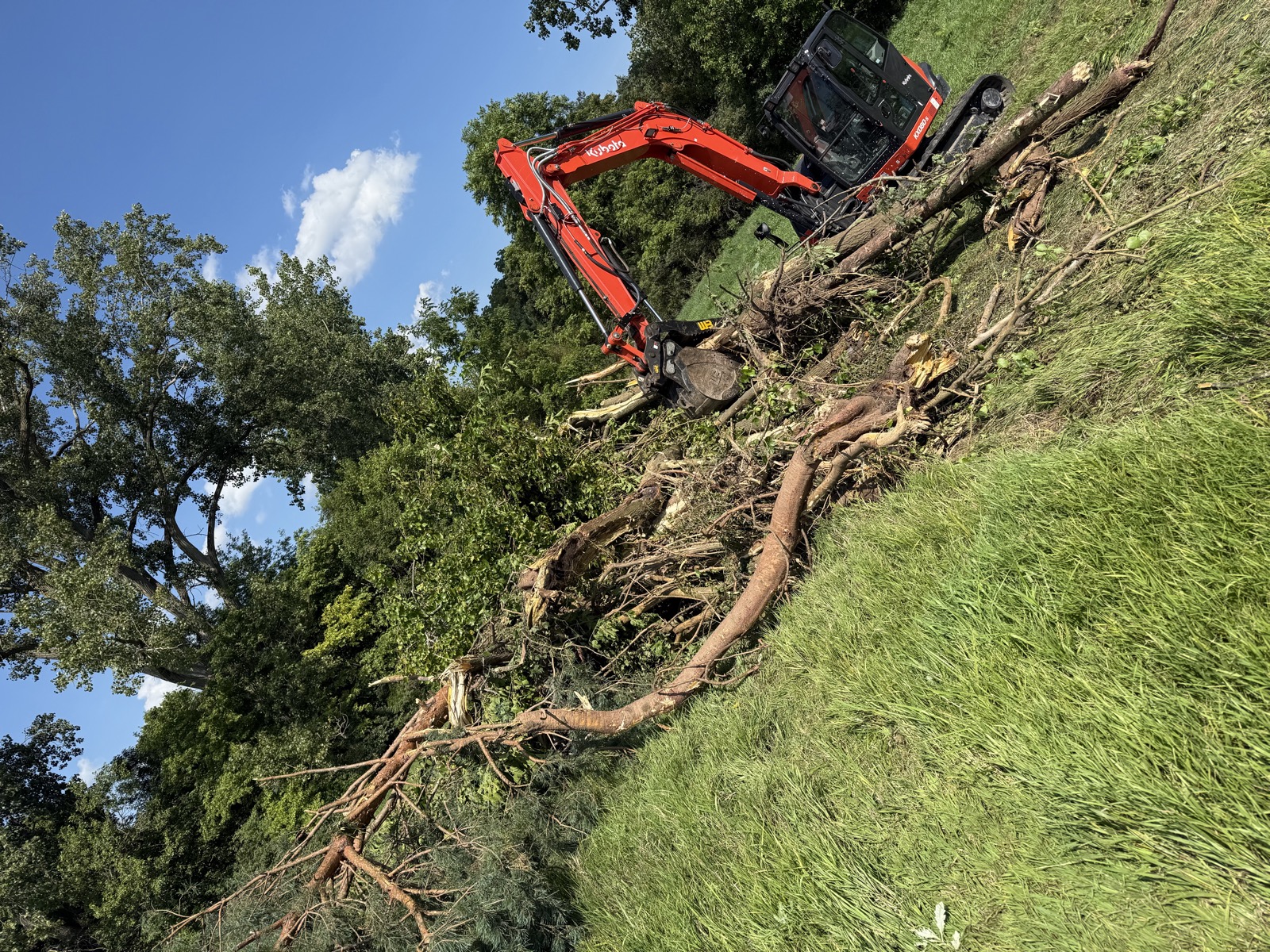 Land Clearing & Forestry Mulching in West/Central Ohio